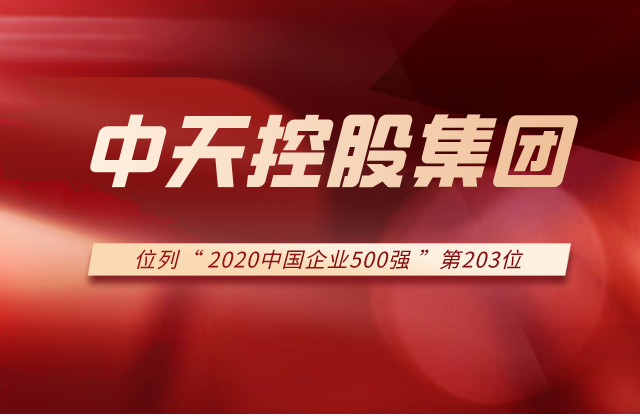 人生就是博集团列2020中国企业500强第203位！